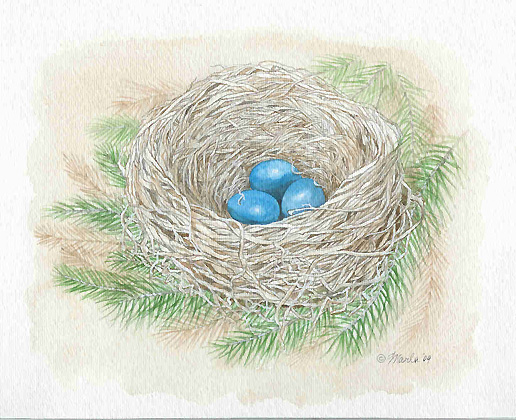 Robin's Nest