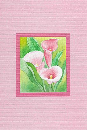 Calla Lily