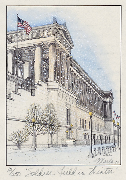 Soldier Field